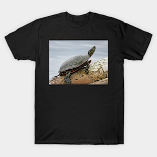 Painted turtle on log T-Shirt